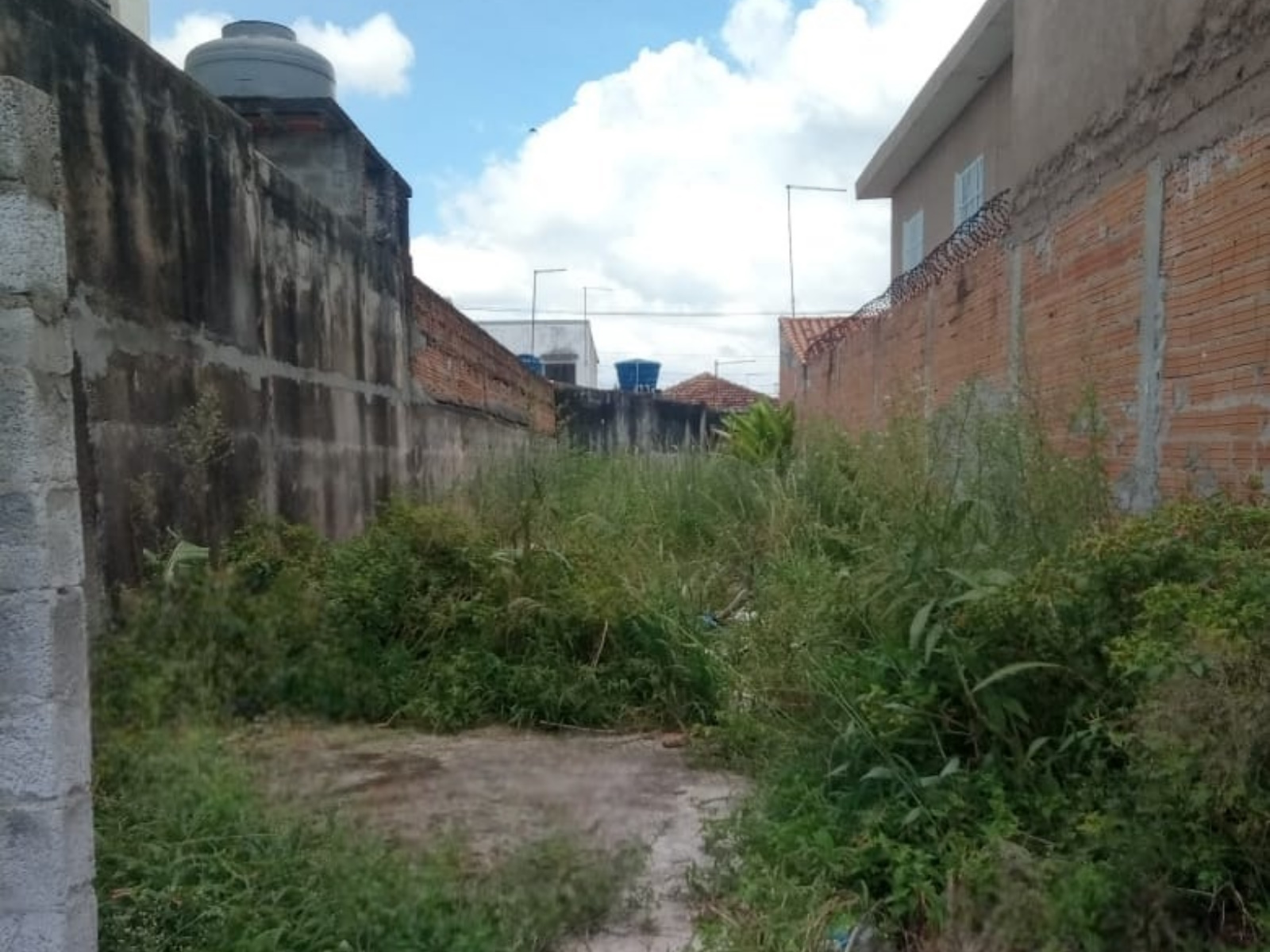 terreno_vilamorim
